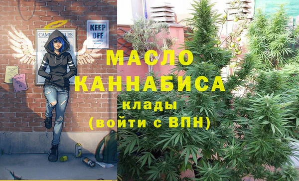 сатива Абинск