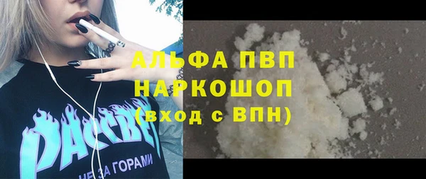 СК Алексин