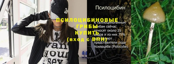 сатива Абинск