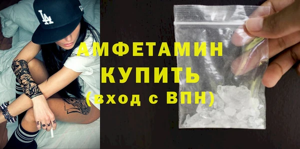 СК Алексин