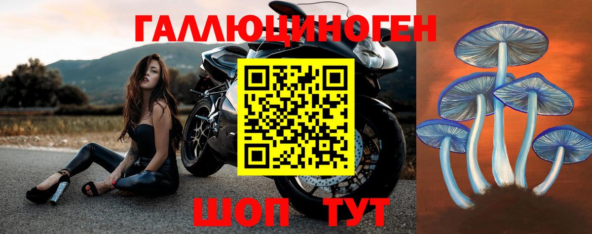 Псилоцибиновые грибы мицелий Троицк