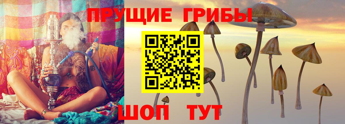 Псилоцибиновые грибы Magic Shrooms  Вход с VPN  Троицк 